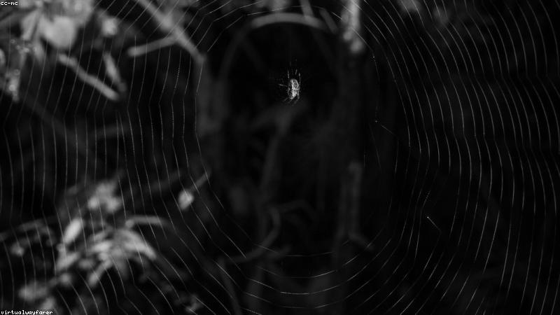 Meningkatkan Tingkat Konversi Landing Page dengan Inovasi Internet